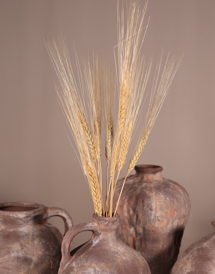 Rustic Jug