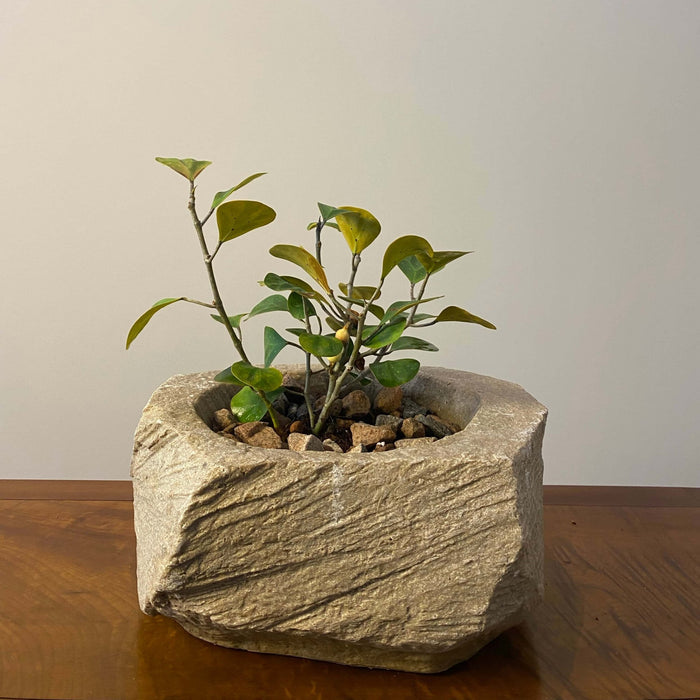 Stone Look Planters - Decorative Indoor Outdoor Plant Pots - JART TEAM