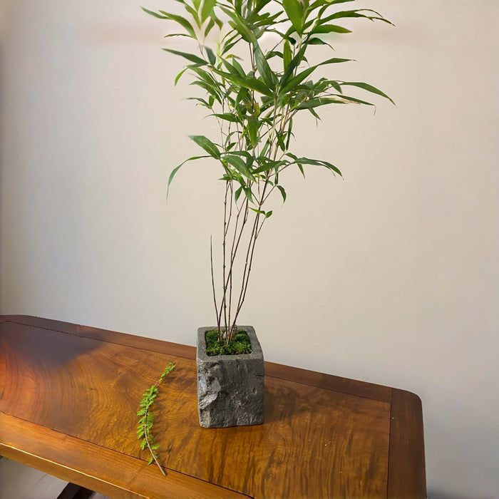 Stone Look Planters - Decorative Indoor Outdoor Plant Pots - JART TEAM