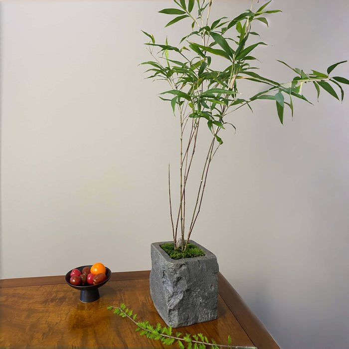 Stone Look Planters - Decorative Indoor Outdoor Plant Pots - JART TEAM