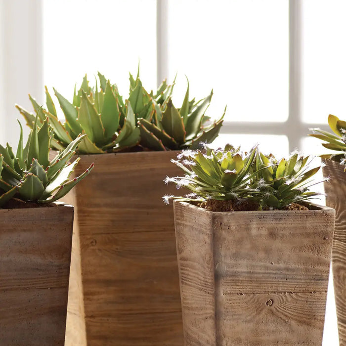 SUCCULENT DROP INS 5.5", SET OF 6 Villa Decor & Design