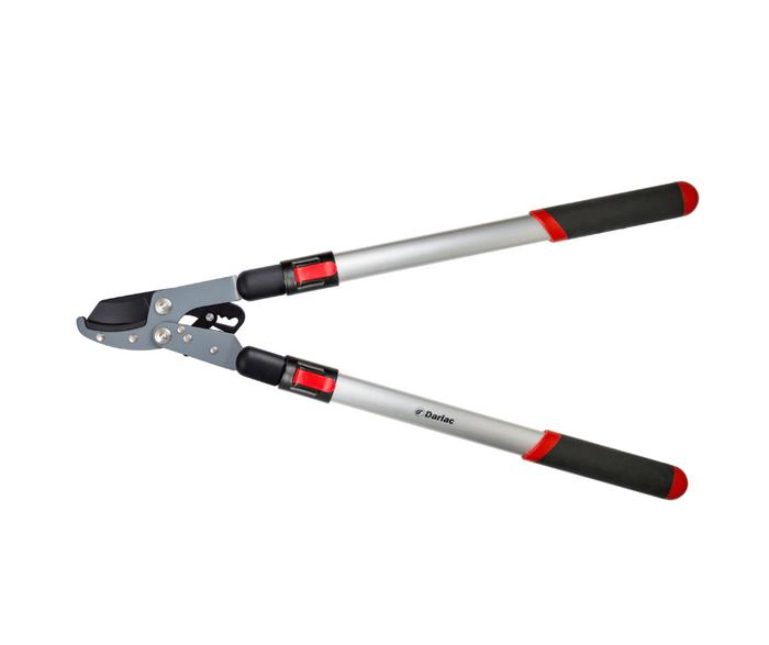 Telescopic Ratchet Lopper