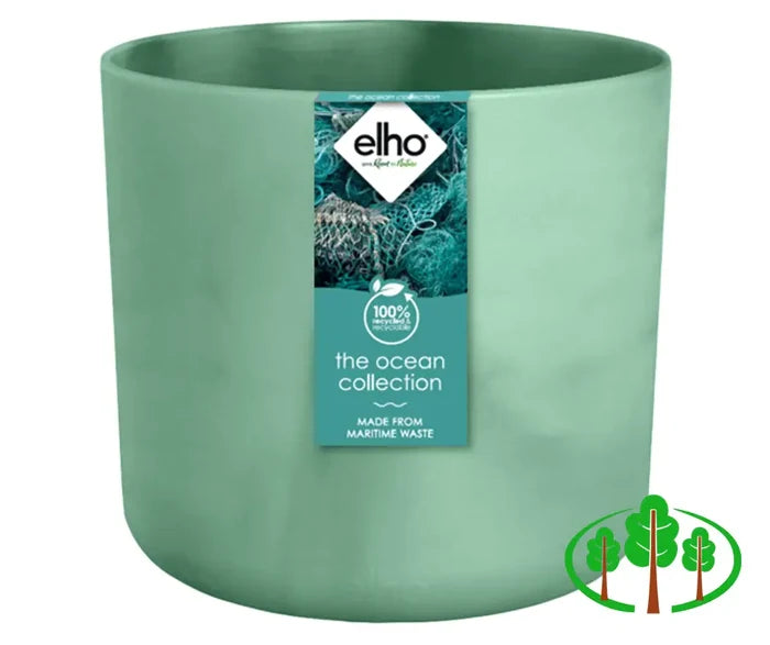 The Ocean Collection Round 16cm Pacific Green