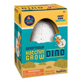 The Toysmith Ginormous Hatchin' Grow Dino Egg is a boxed kids’ toy featuring a large speckled egg visible through a window. The package shows a cartoon dinosaur and child, says “Just Add Water!” For ages 5+. Contains 1 dino egg. Brand: Toysmith.