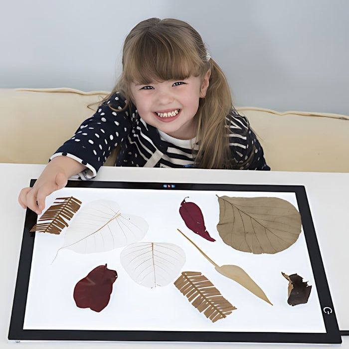 Child using the TTS Ultra-Bright LED Light Panel for nature-based sensory investigation with leaves, supporting visual learning and scientific inquiry