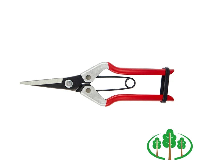 Vine Scissor